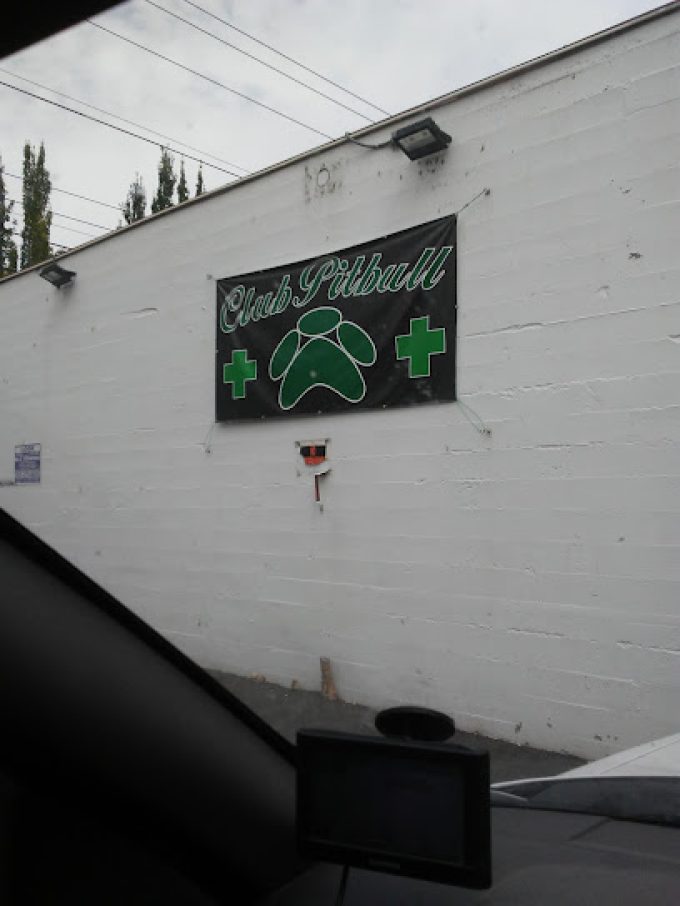 Club Pitbull - Medical Cannabis Salem / Marijuana Store